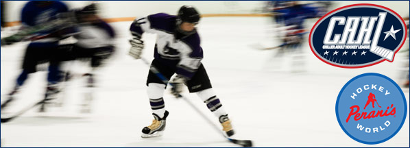 NTPRD Chiller Adult Hockey League